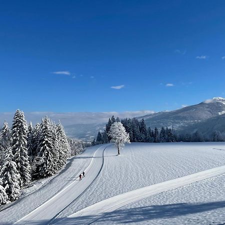Burglehnerhof Aparthotel Ramsau am Dachstein Ngoại thất bức ảnh