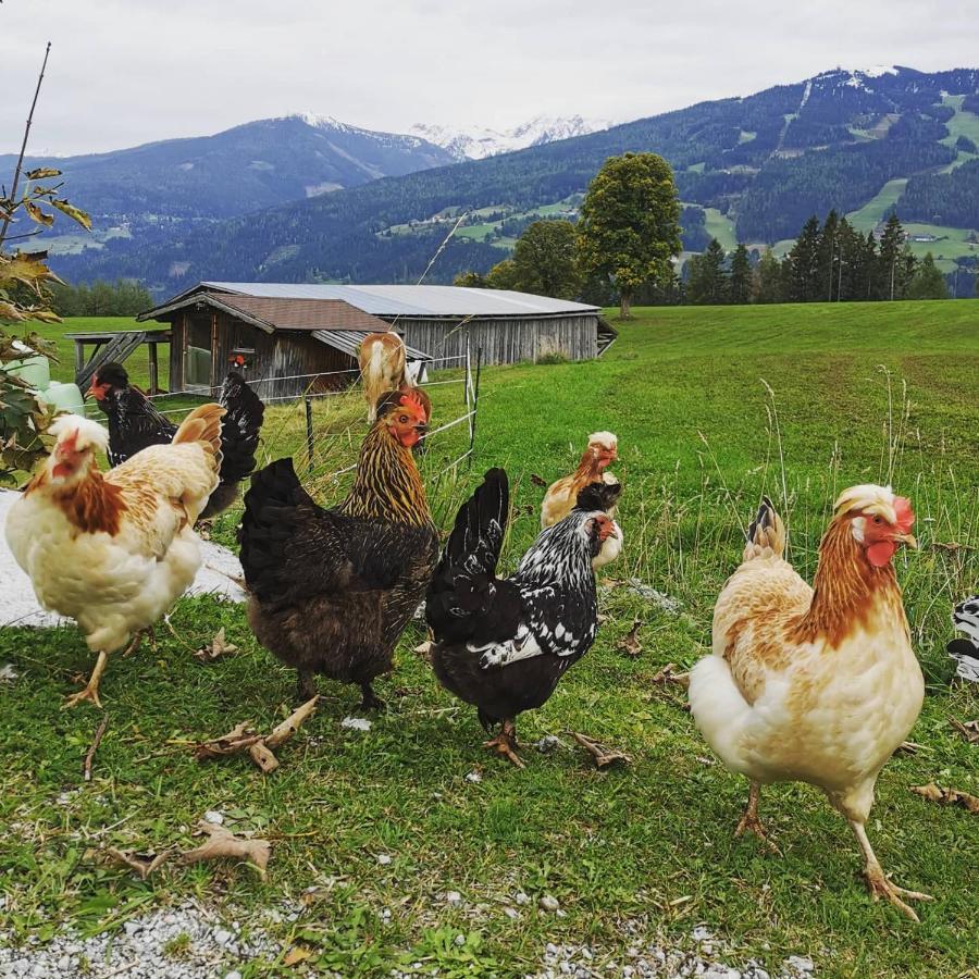 Burglehnerhof Aparthotel Ramsau am Dachstein Ngoại thất bức ảnh