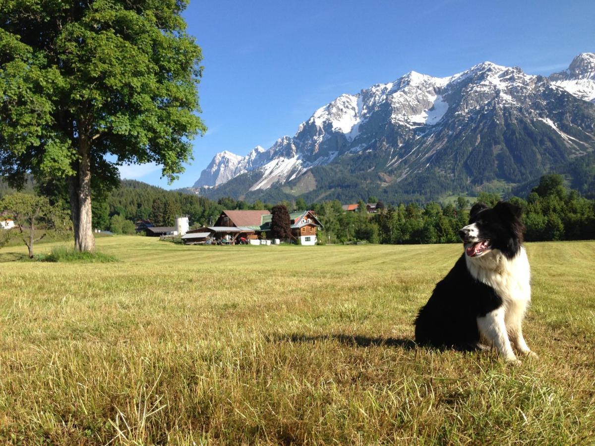 Burglehnerhof Aparthotel Ramsau am Dachstein Ngoại thất bức ảnh