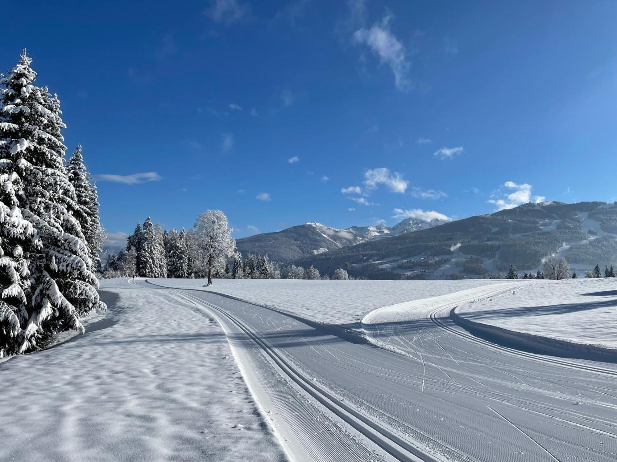 Burglehnerhof Aparthotel Ramsau am Dachstein Ngoại thất bức ảnh